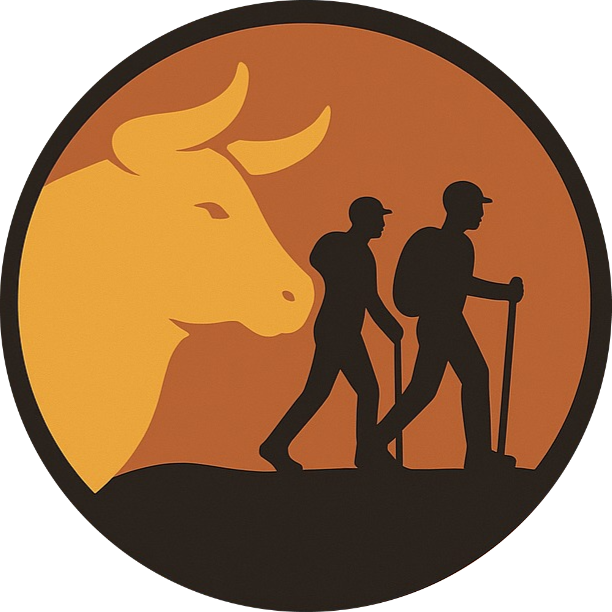 Transfers & Tours Logo